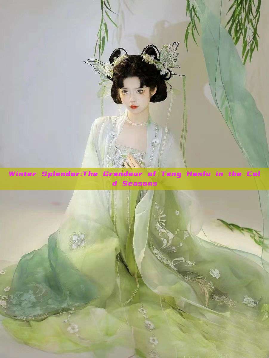 Winter Splendor:The Grandeur of Tang Hanfu in the Cold Seasons Winter Splendor:The Grandeur of Tang Hanfu in the Cold Seasons