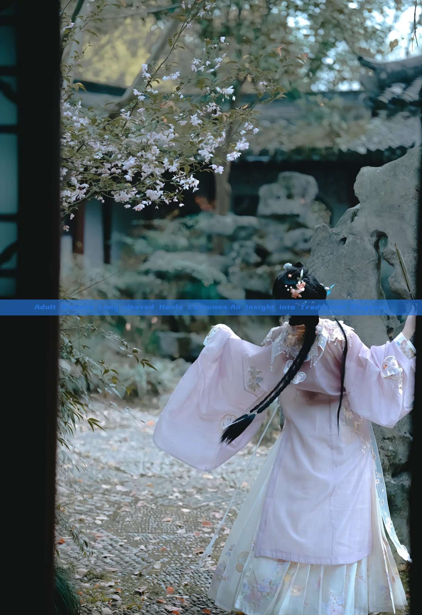 Adult Womens Long-sleeved Hanfu Costumes:An Insight into Traditional Elegance Adult Womens Long-sleeved Hanfu Costumes:An Insight into Traditional Elegance