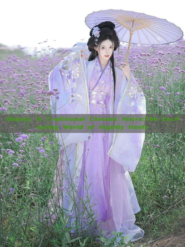 Beauty in Traditional Chinese Attire:The Enchanting World of Nightly Hanfu