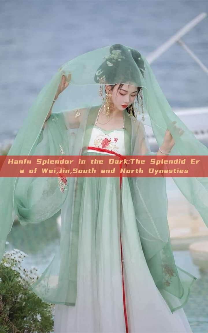 Hanfu Splendor in the Dark:The Splendid Era of Wei,Jin,South and North Dynasties Hanfu Splendor in the Dark:The Splendid Era of Wei,Jin,South and North Dynasties