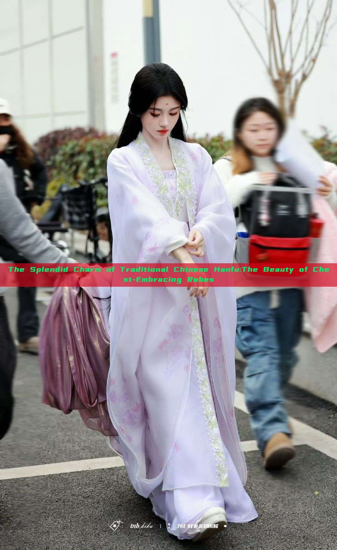 The Splendid Charm of Traditional Chinese Hanfu:The Beauty of Chest-Embracing Robes The Splendid Charm of Traditional Chinese Hanfu:The Beauty of Chest-Embracing Robes