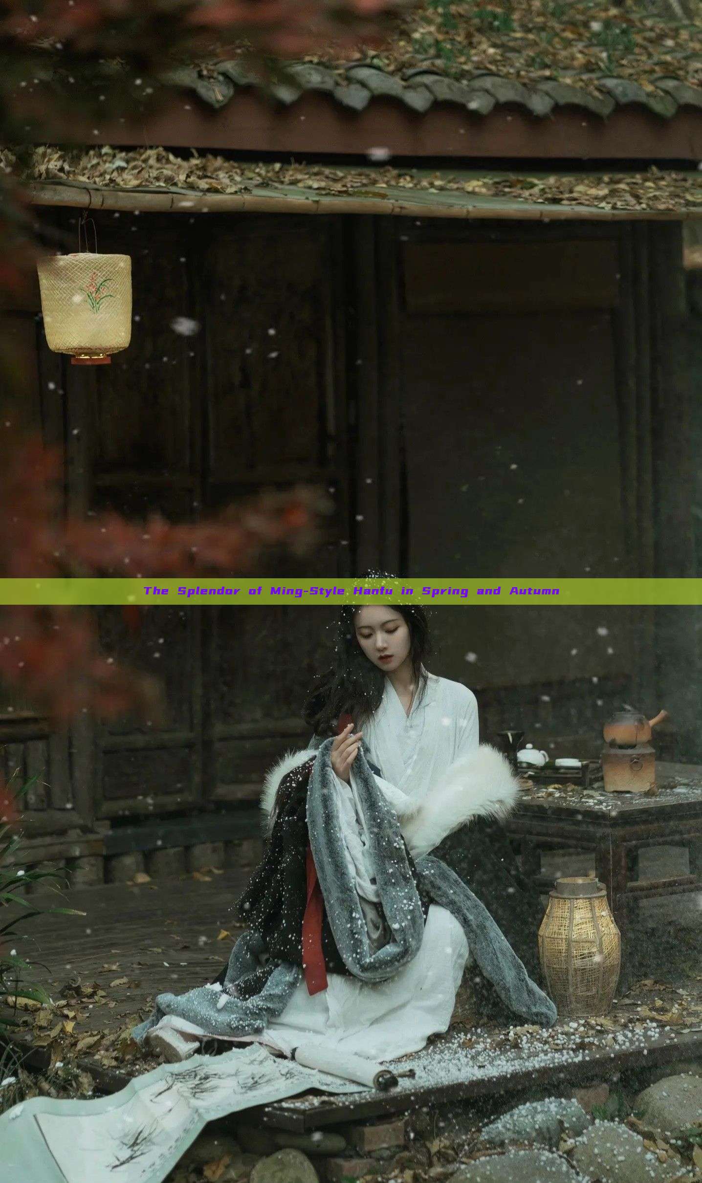 The Splendor of Ming-Style Hanfu in Spring and Autumn The Splendor of Ming-Style Hanfu in Spring and Autumn