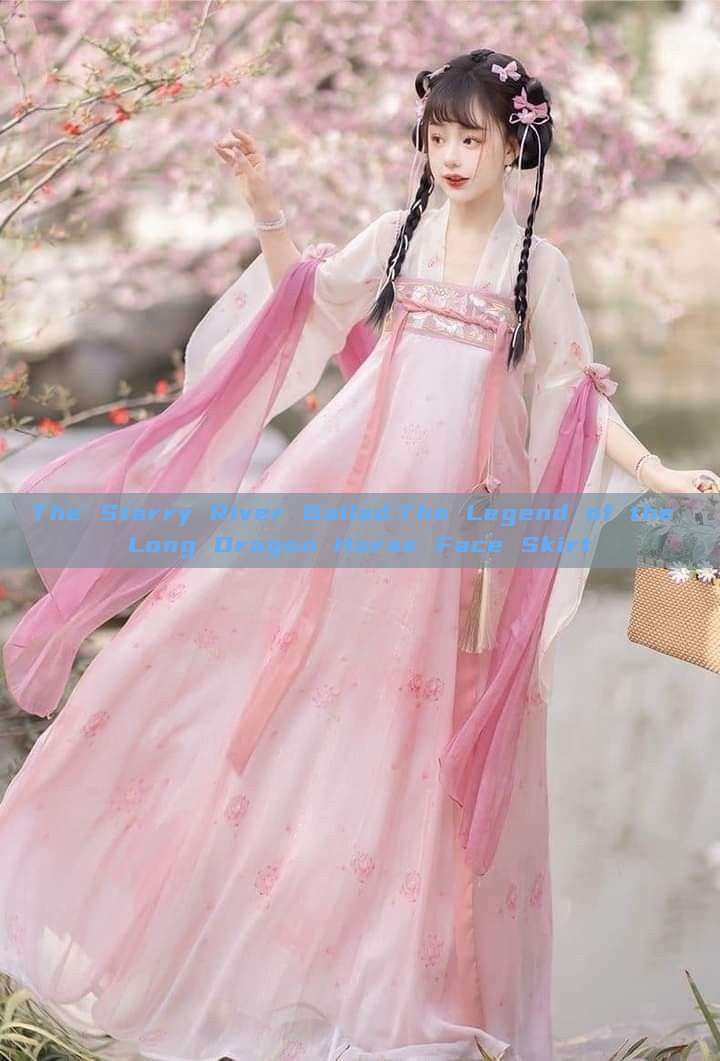 The Starry River Ballad:The Legend of the Long Dragon Horse Face Skirt The Starry River Ballad:The Legend of the Long Dragon Horse Face Skirt