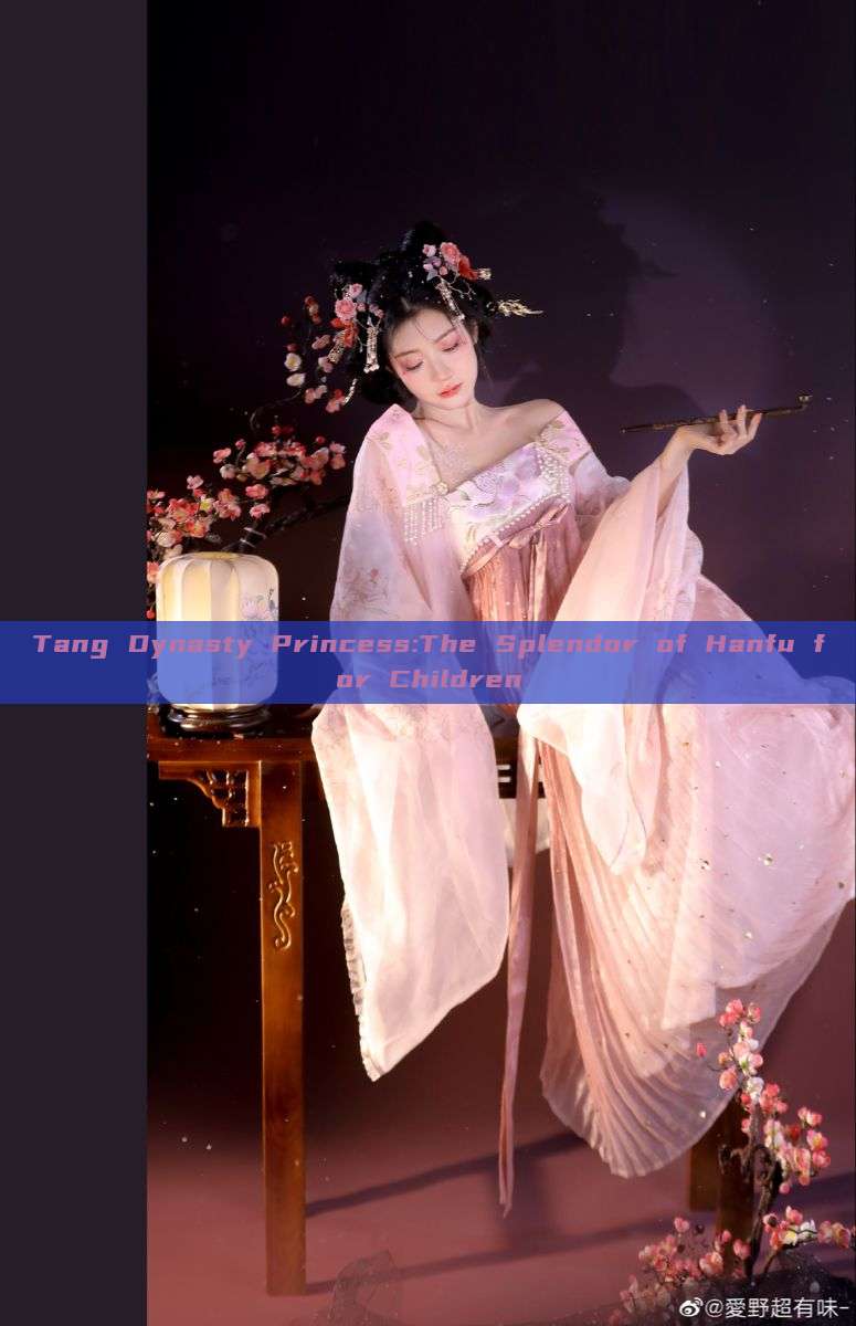 Tang Dynasty Princess:The Splendor of Hanfu for Children Tang Dynasty Princess:The Splendor of Hanfu for Children