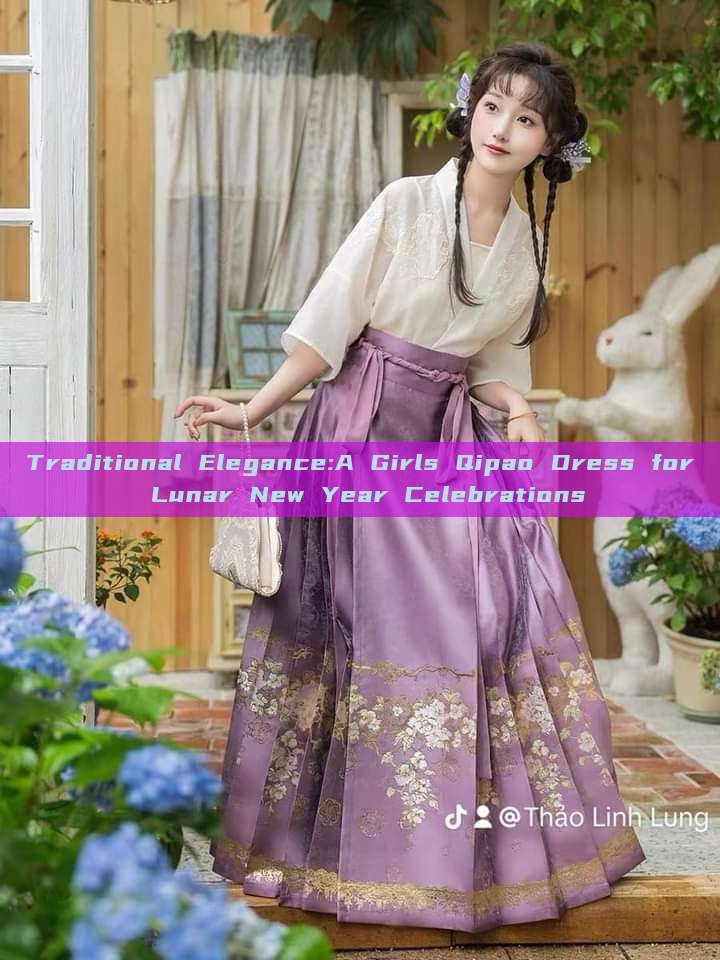 Traditional Elegance:A Girls Qipao Dress for Lunar New Year Celebrations Traditional Elegance:A Girls Qipao Dress for Lunar New Year Celebrations