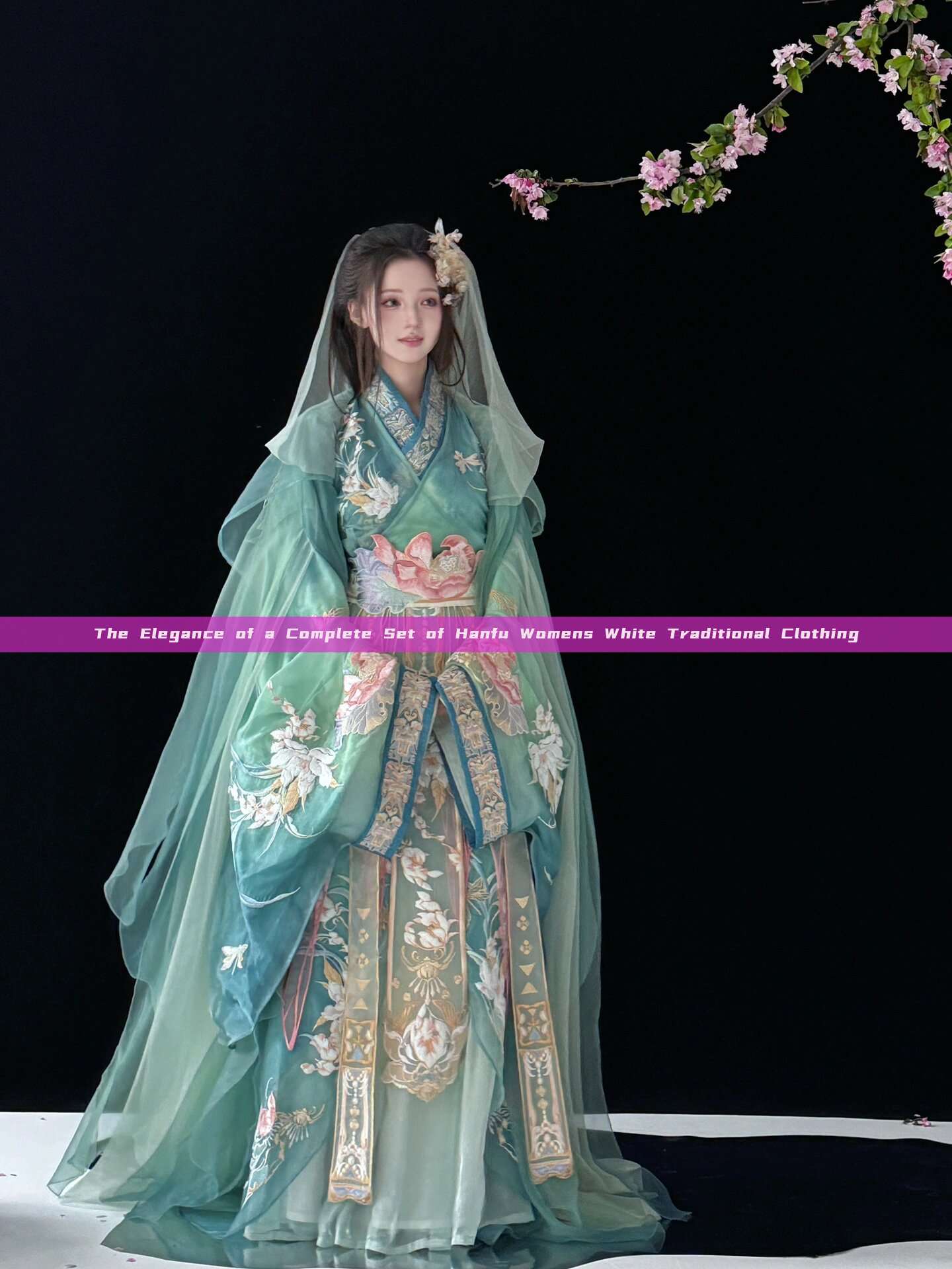 The Elegance of a Complete Set of Hanfu Womens White Traditional Clothing The Elegance of a Complete Set of Hanfu Womens White Traditional Clothing