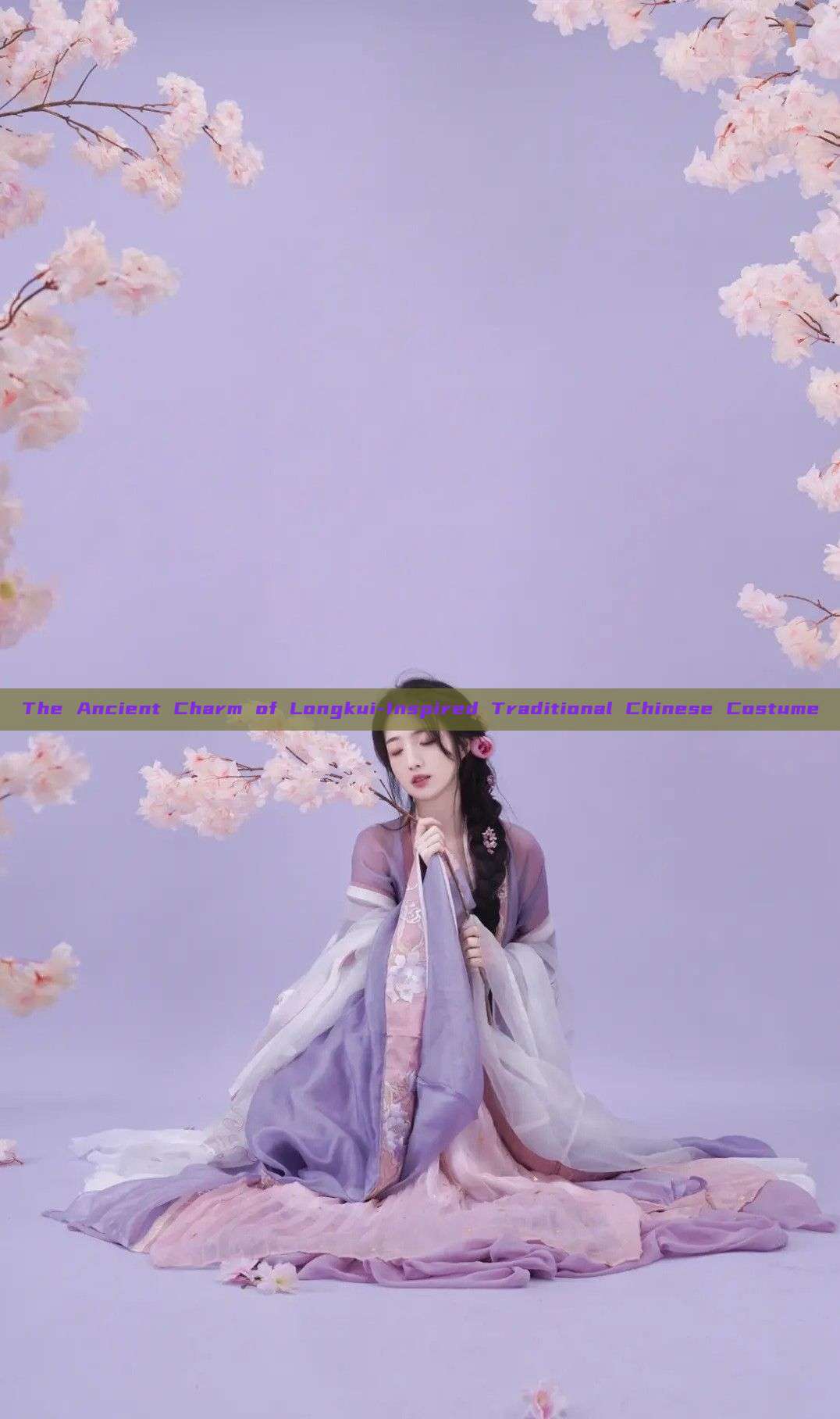 The Ancient Charm of Longkui-Inspired Traditional Chinese Costume The Ancient Charm of Longkui-Inspired Traditional Chinese Costume