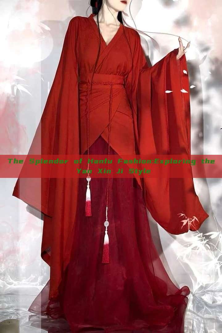 The Splendor of Hanfu Fashion:Exploring the Yan Xin Ji Style The Splendor of Hanfu Fashion:Exploring the Yan Xin Ji Style