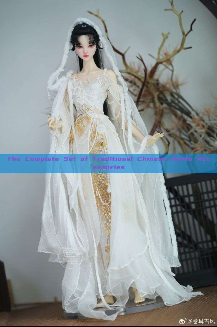 The Complete Set of Traditional Chinese Hanfu Accessories The Complete Set of Traditional Chinese Hanfu Accessories