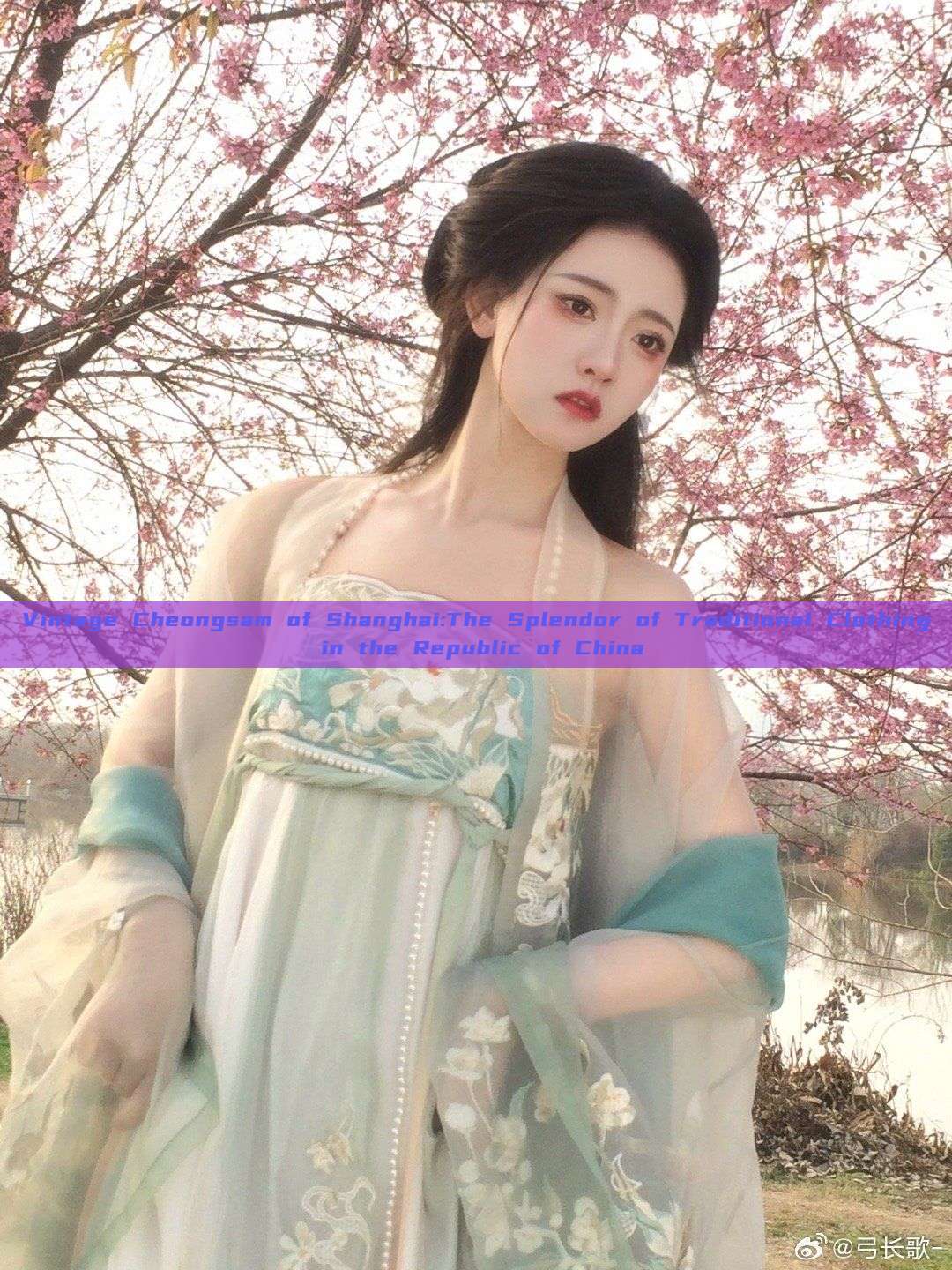 Vintage Cheongsam of Shanghai:The Splendor of Traditional Clothing in the Republic of China Vintage Cheongsam of Shanghai:The Splendor of Traditional Clothing in the Republic of China