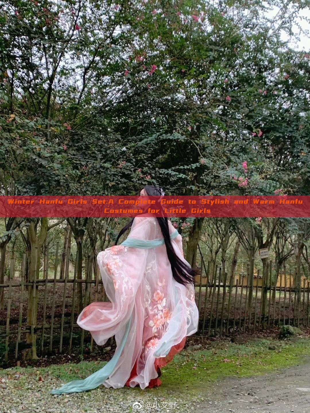 Winter Hanfu Girls Set:A Complete Guide to Stylish and Warm Hanfu Costumes for Little Girls Winter Hanfu Girls Set:A Complete Guide to Stylish and Warm Hanfu Costumes for Little Girls