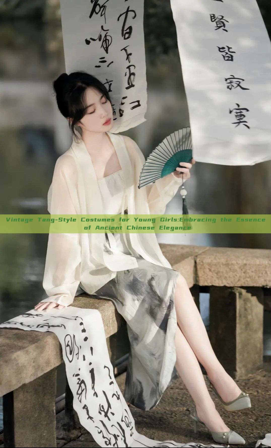 Vintage Tang-Style Costumes for Young Girls:Embracing the Essence of Ancient Chinese Elegance Vintage Tang-Style Costumes for Young Girls:Embracing the Essence of Ancient Chinese Elegance