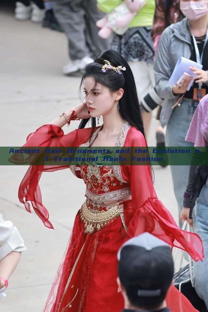 Ancient Hair Ornaments and the Evolution of Traditional Hanfu Fashion Ancient Hair Ornaments and the Evolution of Traditional Hanfu Fashion