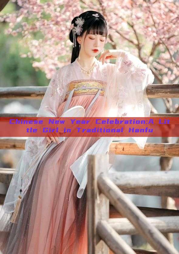 Chinese New Year Celebration:A Little Girl in Traditional Hanfu Chinese New Year Celebration:A Little Girl in Traditional Hanfu