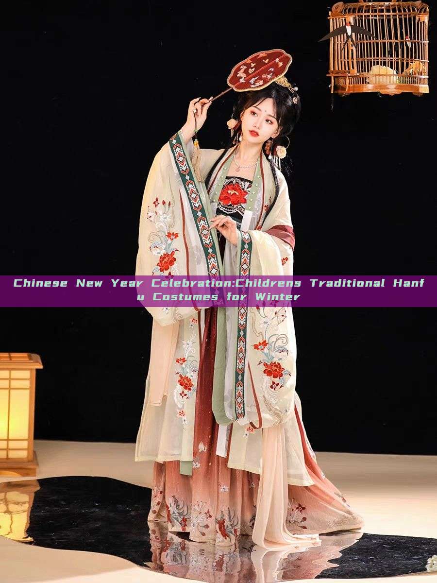 Chinese New Year Celebration:Childrens Traditional Hanfu Costumes for Winter Chinese New Year Celebration:Childrens Traditional Hanfu Costumes for Winter