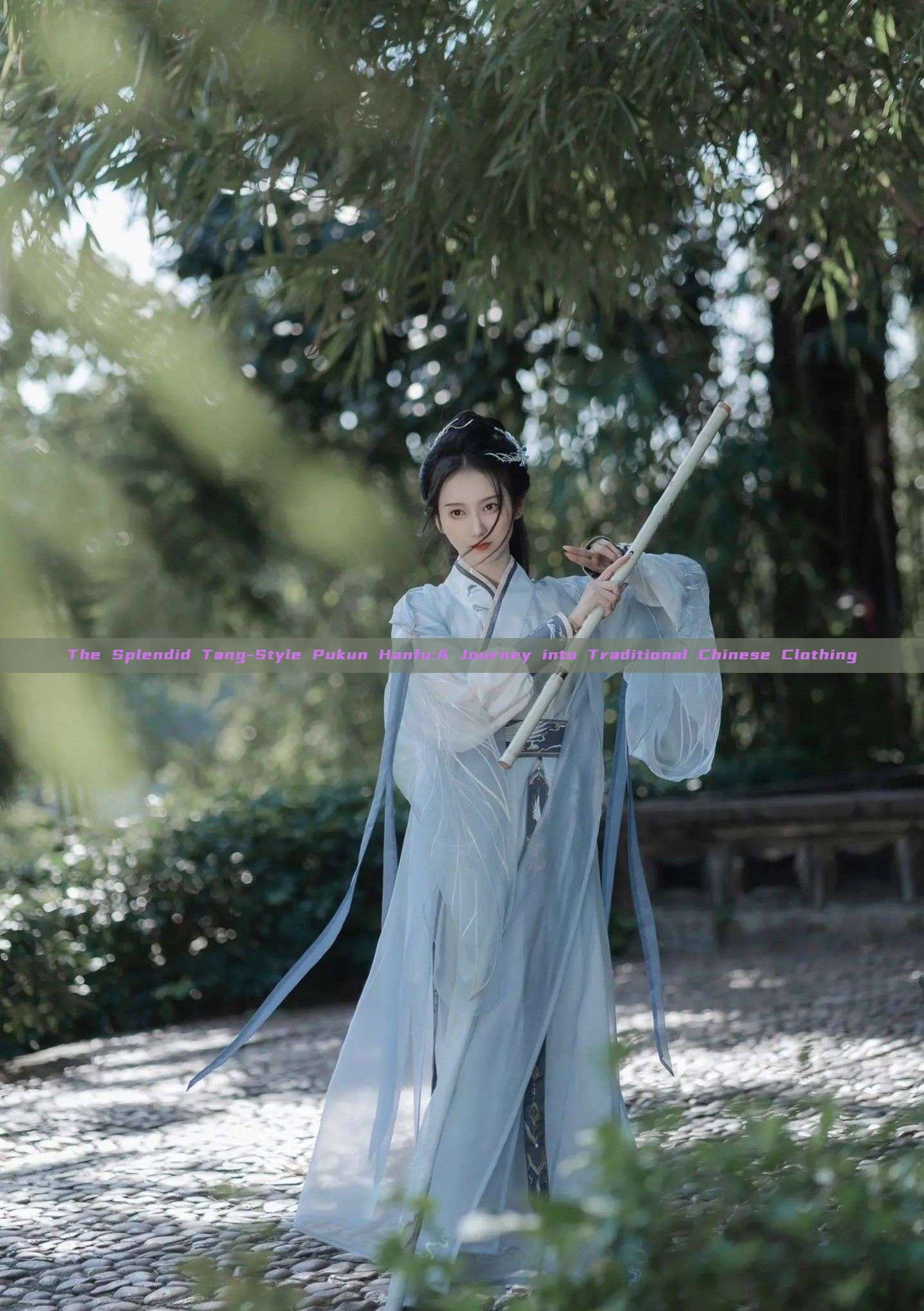 The Splendid Tang-Style Pukun Hanfu:A Journey into Traditional Chinese Clothing The Splendid Tang-Style Pukun Hanfu:A Journey into Traditional Chinese Clothing