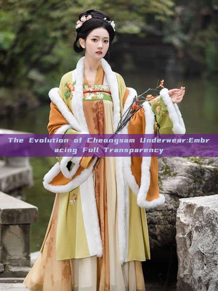 The Evolution of Cheongsam Underwear:Embracing Full Transparency The Evolution of Cheongsam Underwear:Embracing Full Transparency