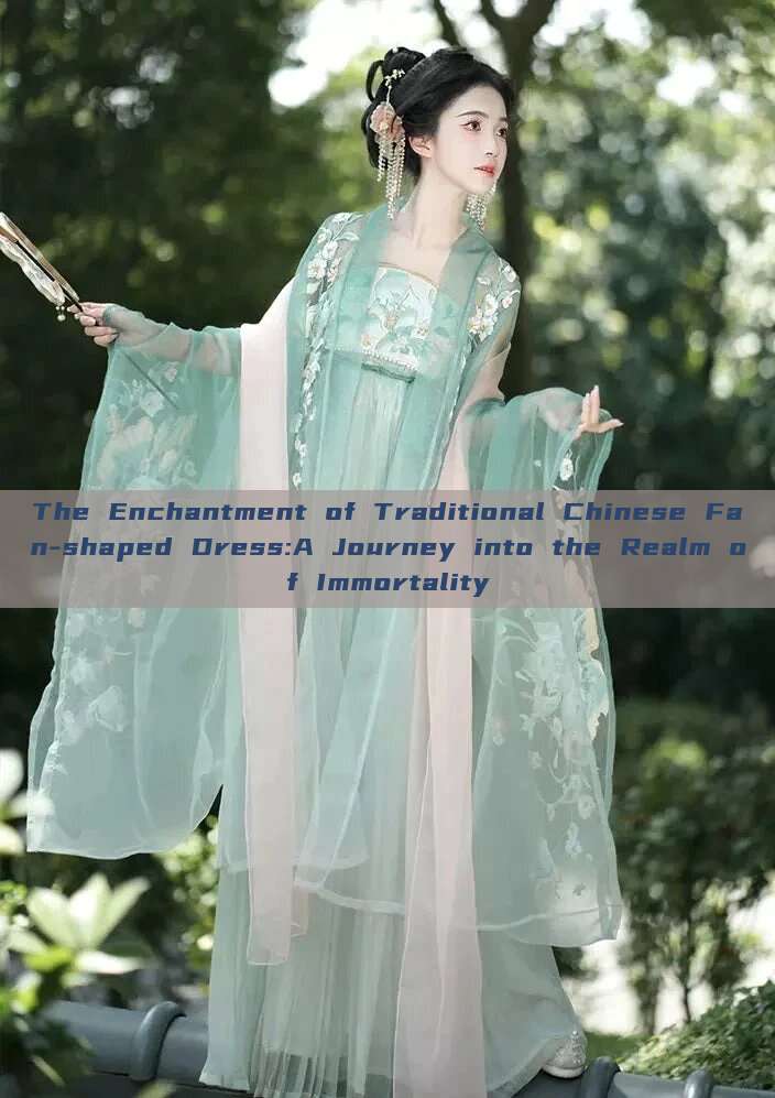 The Enchantment of Traditional Chinese Fan-shaped Dress:A Journey into the Realm of Immortality The Enchantment of Traditional Chinese Fan-shaped Dress:A Journey into the Realm of Immortality
