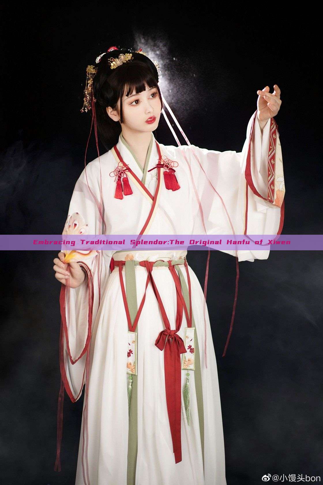 Embracing Traditional Splendor:The Original Hanfu of Xiwen Embracing Traditional Splendor:The Original Hanfu of Xiwen