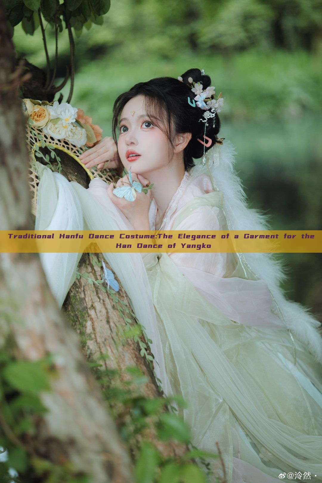 Traditional Hanfu Dance Costume:The Elegance of a Garment for the Han Dance of Yangko Traditional Hanfu Dance Costume:The Elegance of a Garment for the Han Dance of Yangko