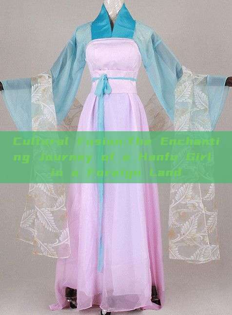 Cultural Fusion:The Enchanting Journey of a Hanfu Girl in a Foreign Land Cultural Fusion:The Enchanting Journey of a Hanfu Girl in a Foreign Land