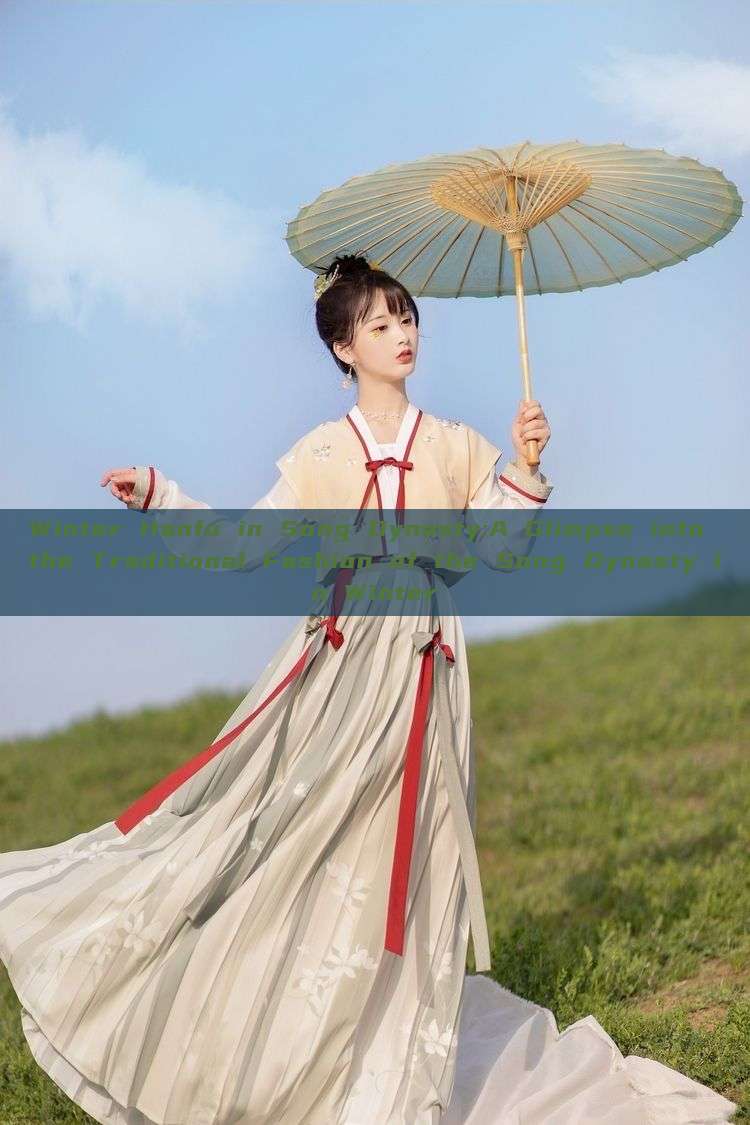 Winter Hanfu in Song Dynasty:A Glimpse into the Traditional Fashion of the Song Dynasty in Winter Winter Hanfu in Song Dynasty:A Glimpse into the Traditional Fashion of the Song Dynasty in Winter