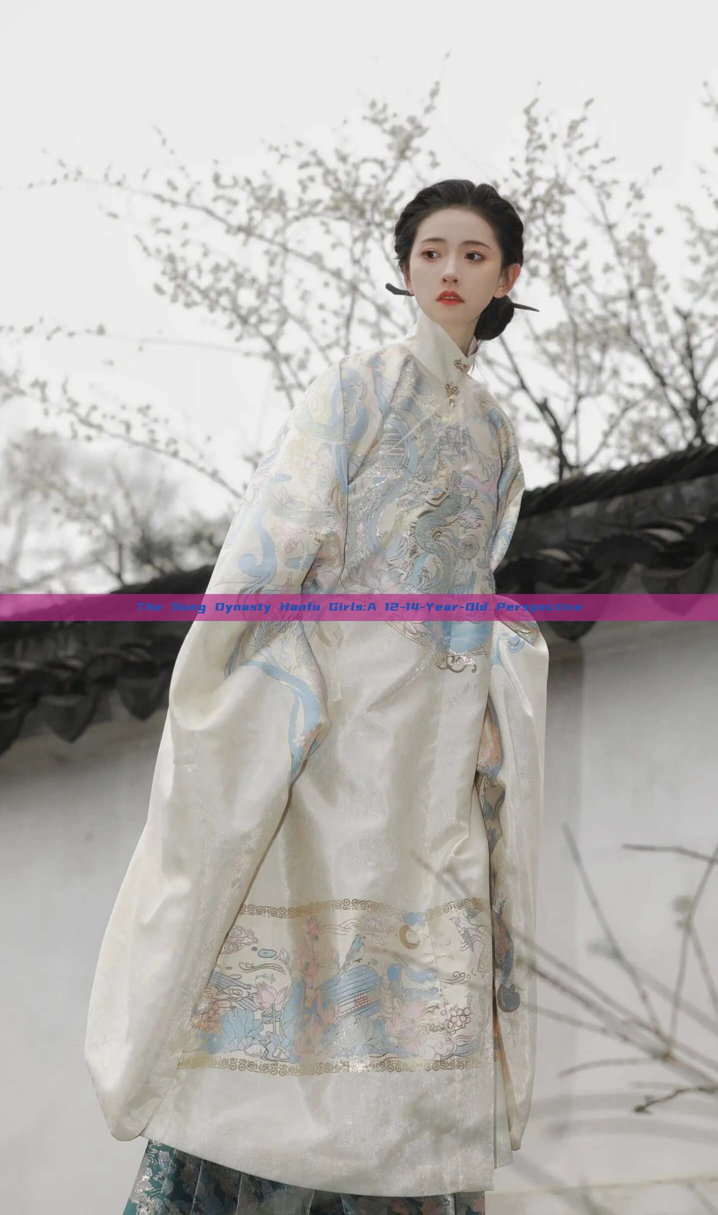 The Song Dynasty Hanfu Girls:A 12-14-Year-Old Perspective The Song Dynasty Hanfu Girls:A 12-14-Year-Old Perspective