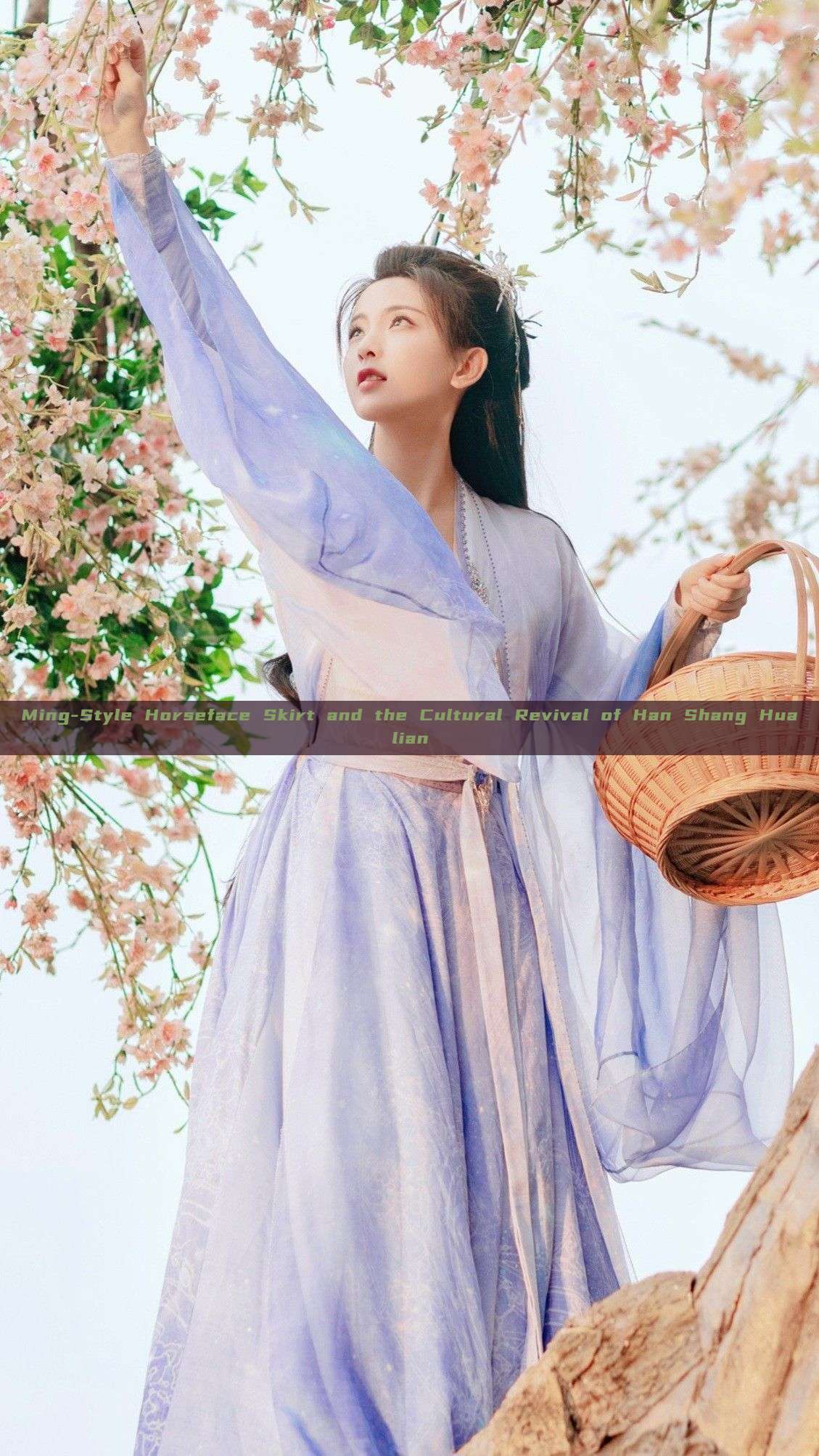 Ming-Style Horseface Skirt and the Cultural Revival of Han Shang Hualian Ming-Style Horseface Skirt and the Cultural Revival of Han Shang Hualian