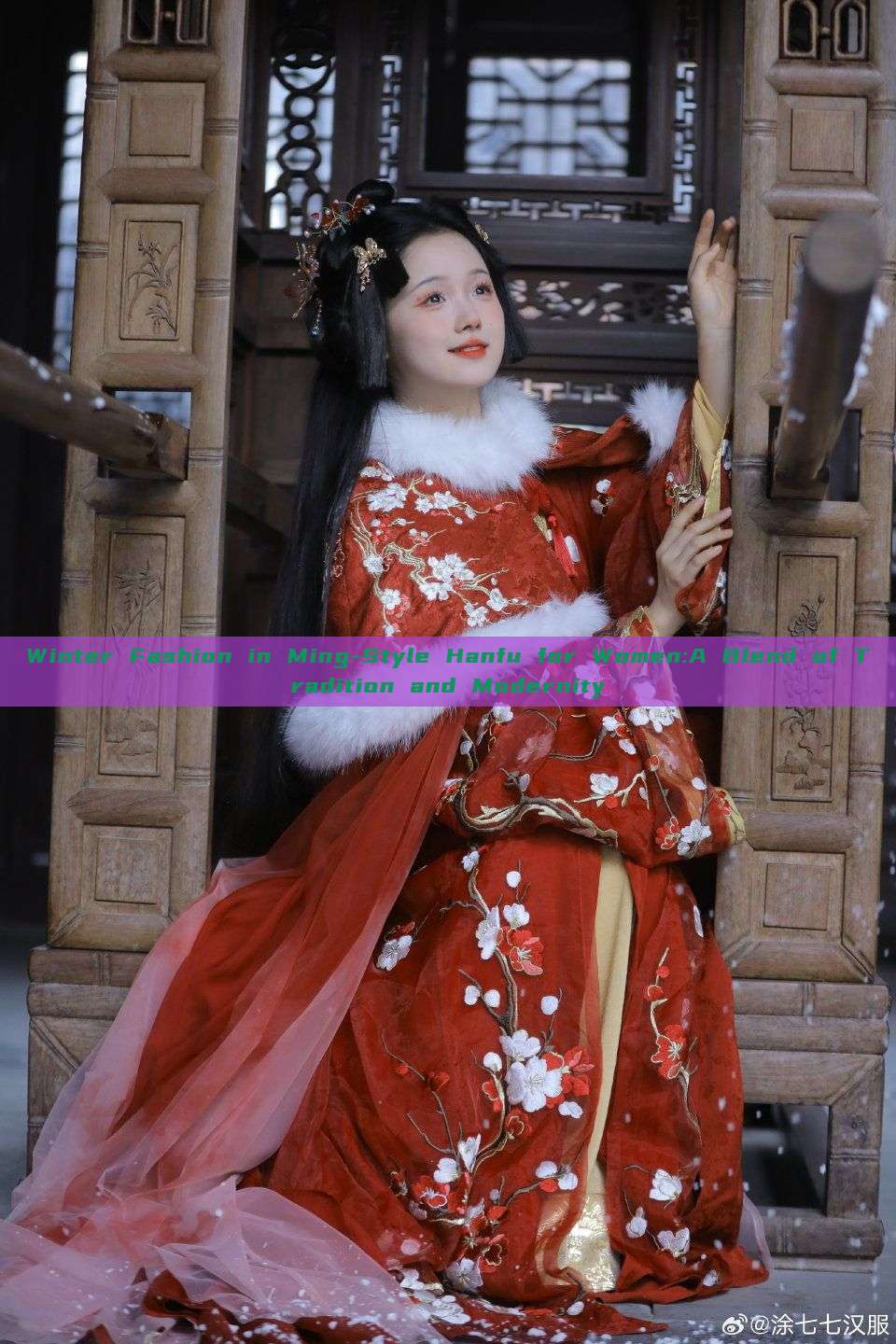 Winter Fashion in Ming-Style Hanfu for Women:A Blend of Tradition and Modernity Winter Fashion in Ming-Style Hanfu for Women:A Blend of Tradition and Modernity