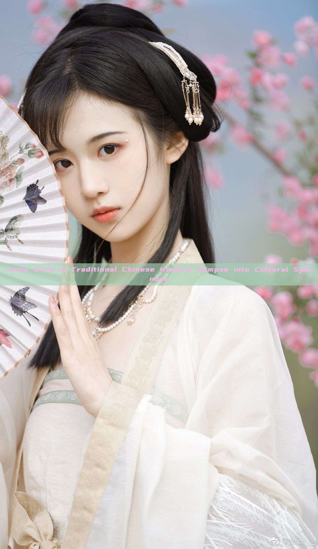 Little Girls in Traditional Chinese Hanfu:A Glimpse into Cultural Splendor Little Girls in Traditional Chinese Hanfu:A Glimpse into Cultural Splendor