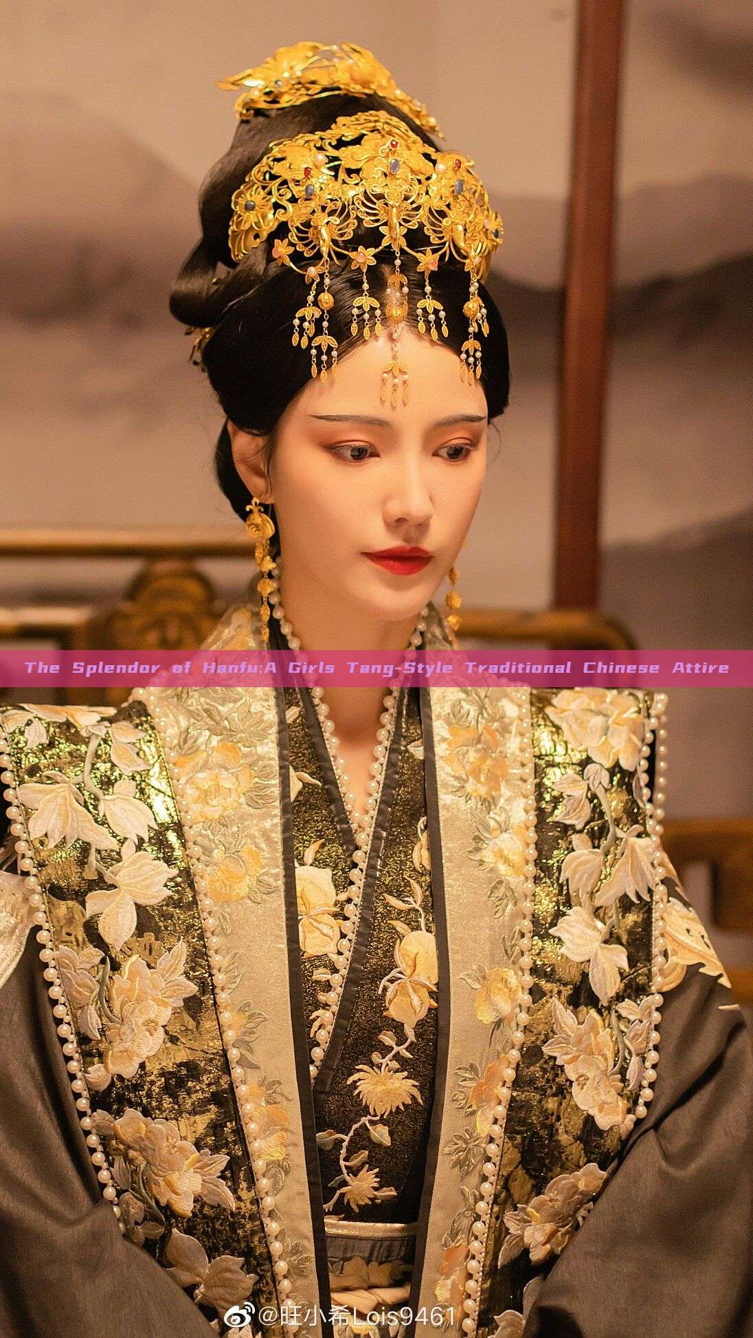 The Splendor of Hanfu:A Girls Tang-Style Traditional Chinese Attire