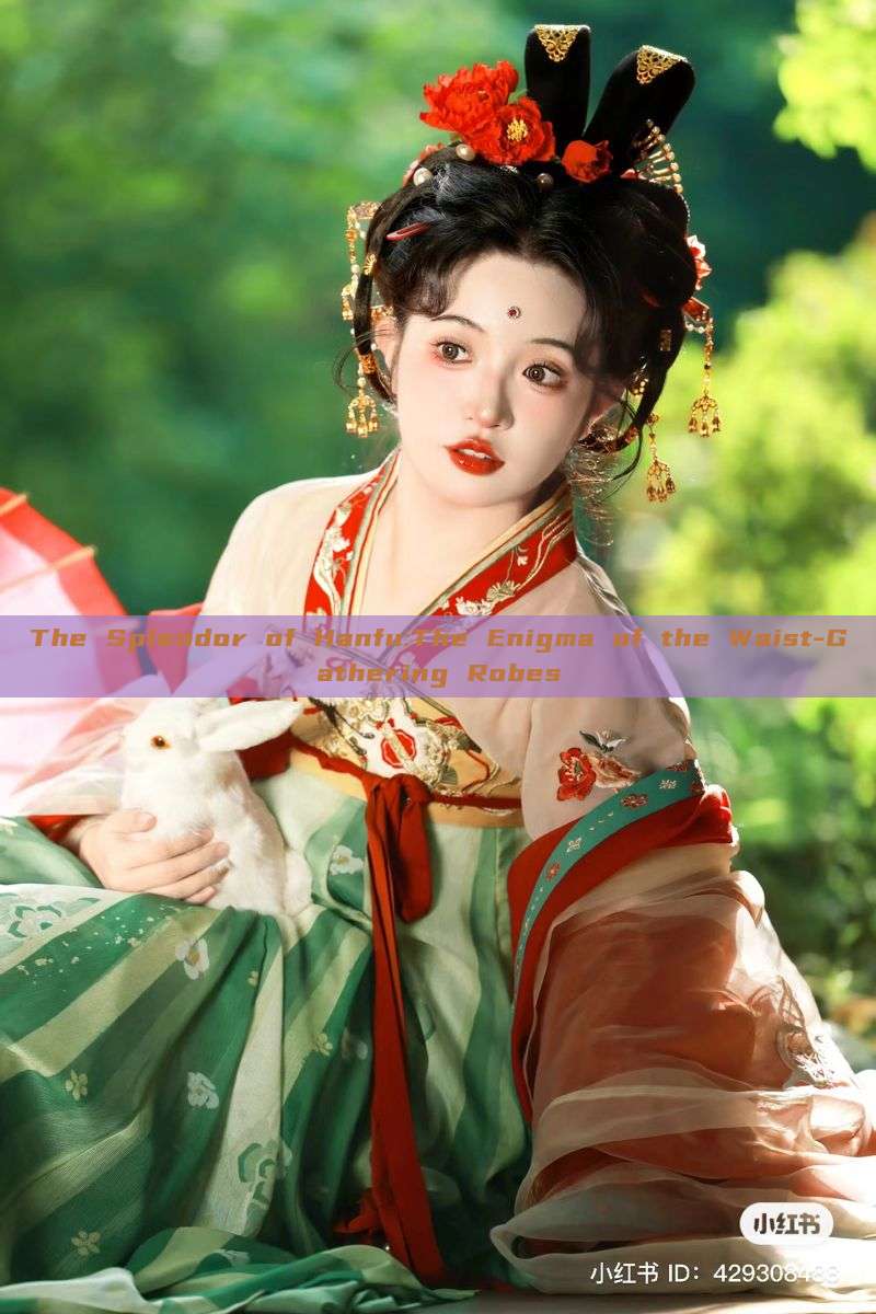 The Splendor of Hanfu:The Enigma of the Waist-Gathering Robes