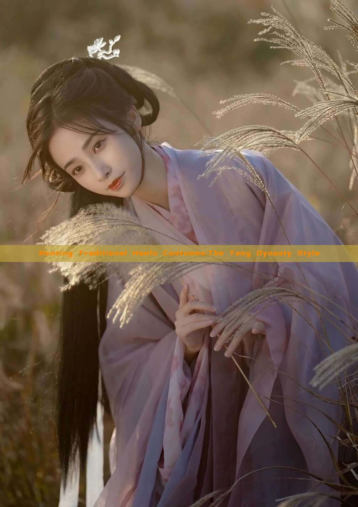 Renting Traditional Hanfu Costumes:The Tang Dynasty Style Renting Traditional Hanfu Costumes:The Tang Dynasty Style