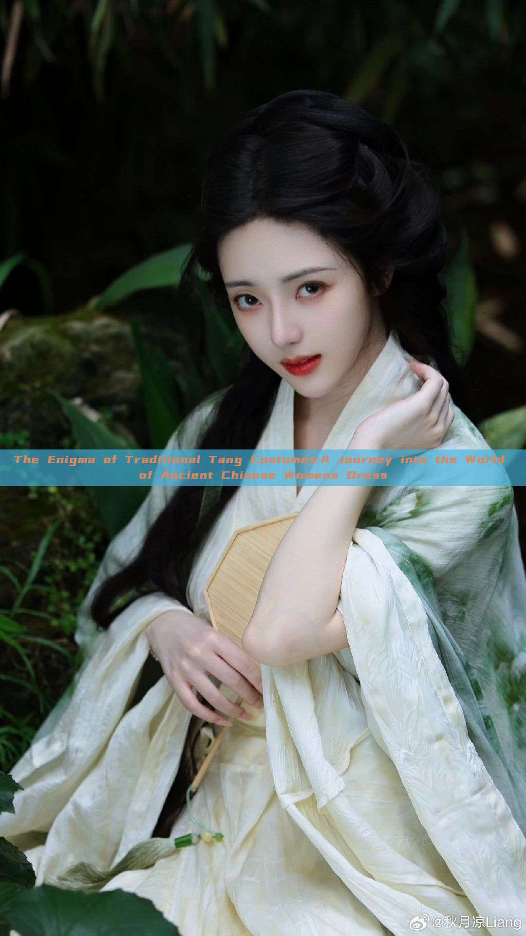 The Enigma of Traditional Tang Costumes:A Journey into the World of Ancient Chinese Womens Dress