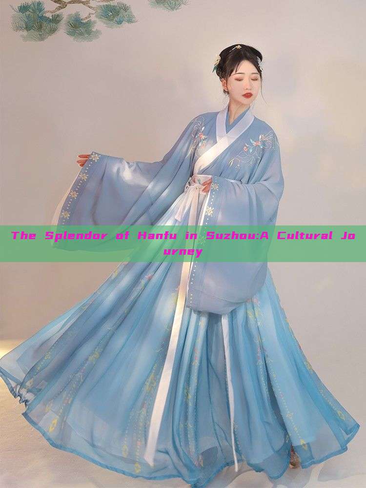 The Splendor of Hanfu in Suzhou:A Cultural Journey