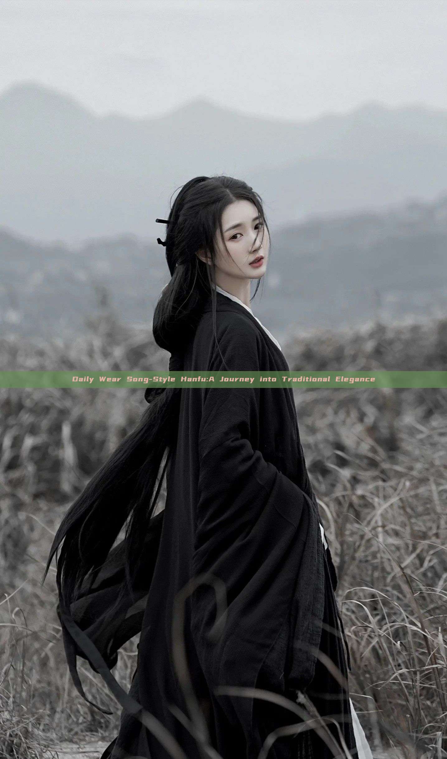 Daily Wear Song-Style Hanfu:A Journey into Traditional Elegance Daily Wear Song-Style Hanfu:A Journey into Traditional Elegance