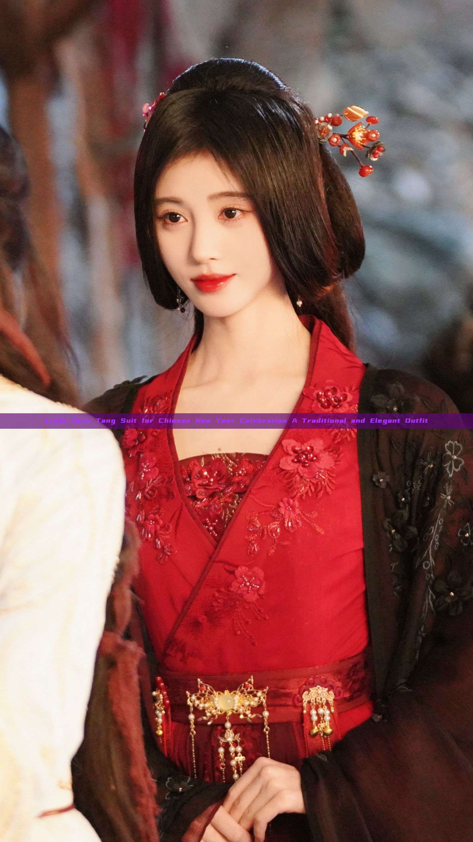 Little Girls Tang Suit for Chinese New Year Celebration A Traditional and Elegant Outfit Little Girls Tang Suit for Chinese New Year Celebration A Traditional and Elegant Outfit
