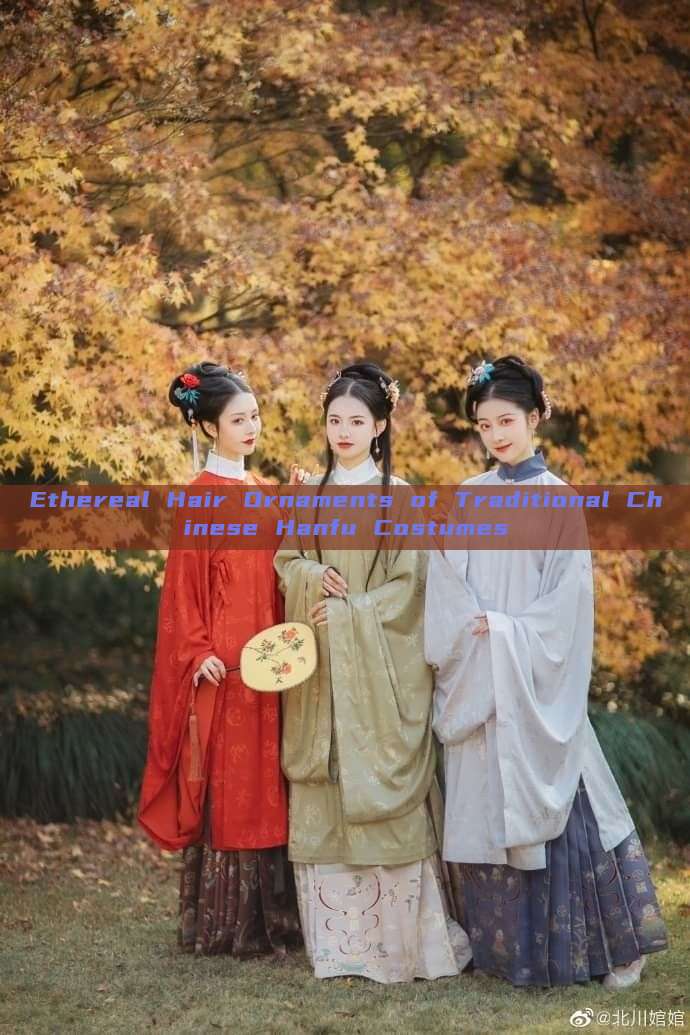 Ethereal Hair Ornaments of Traditional Chinese Hanfu Costumes Ethereal Hair Ornaments of Traditional Chinese Hanfu Costumes
