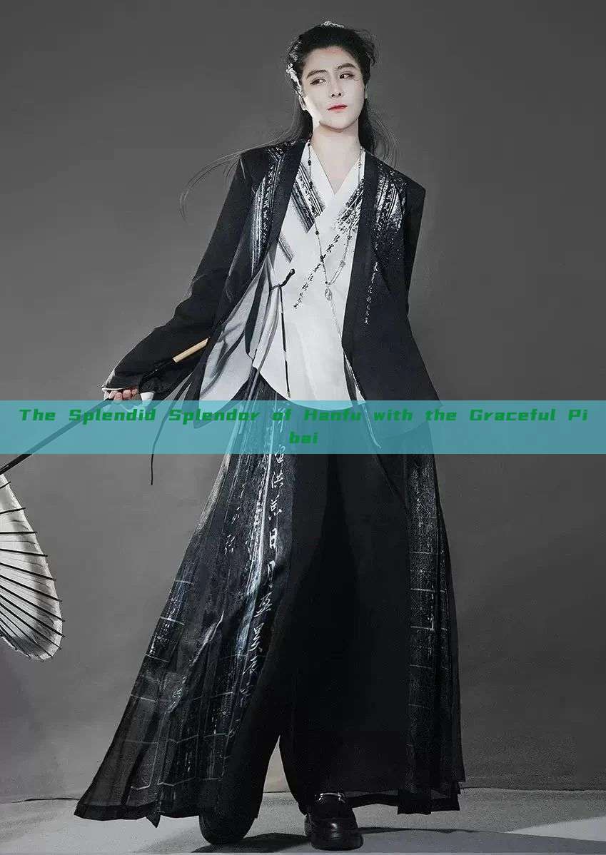 The Splendid Splendor of Hanfu with the Graceful Pibai The Splendid Splendor of Hanfu with the Graceful Pibai