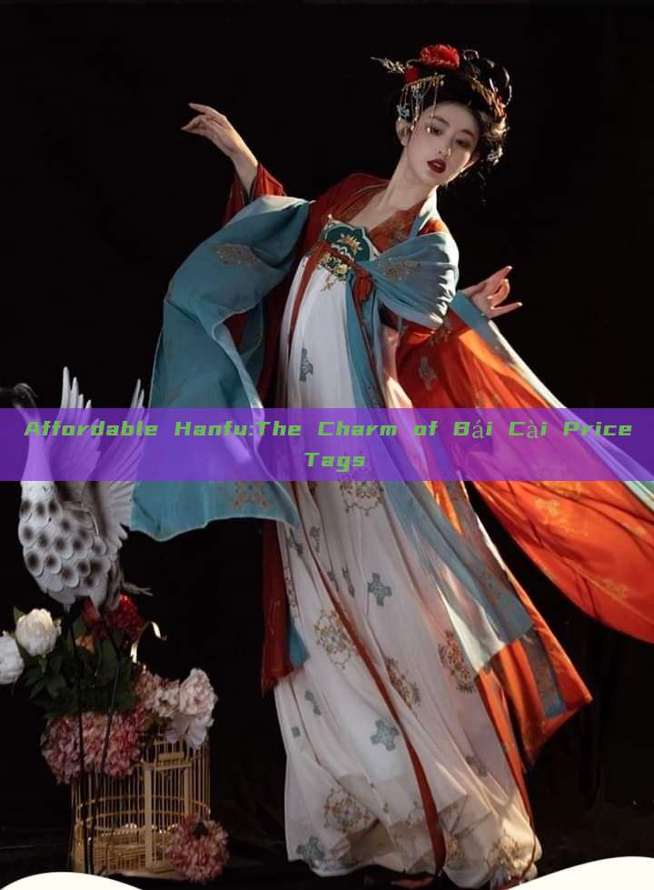 Affordable Hanfu:The Charm of Bái Cài Price Tags Affordable Hanfu:The Charm of Bái Cài Price Tags