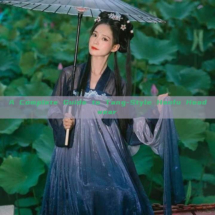 A Complete Guide to Tang-Style Hanfu Headwear A Complete Guide to Tang-Style Hanfu Headwear
