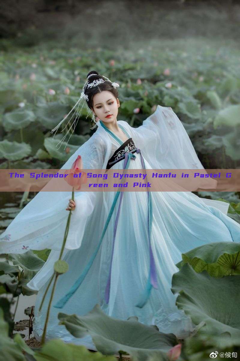 The Splendor of Song Dynasty Hanfu in Pastel Green and Pink The Splendor of Song Dynasty Hanfu in Pastel Green and Pink