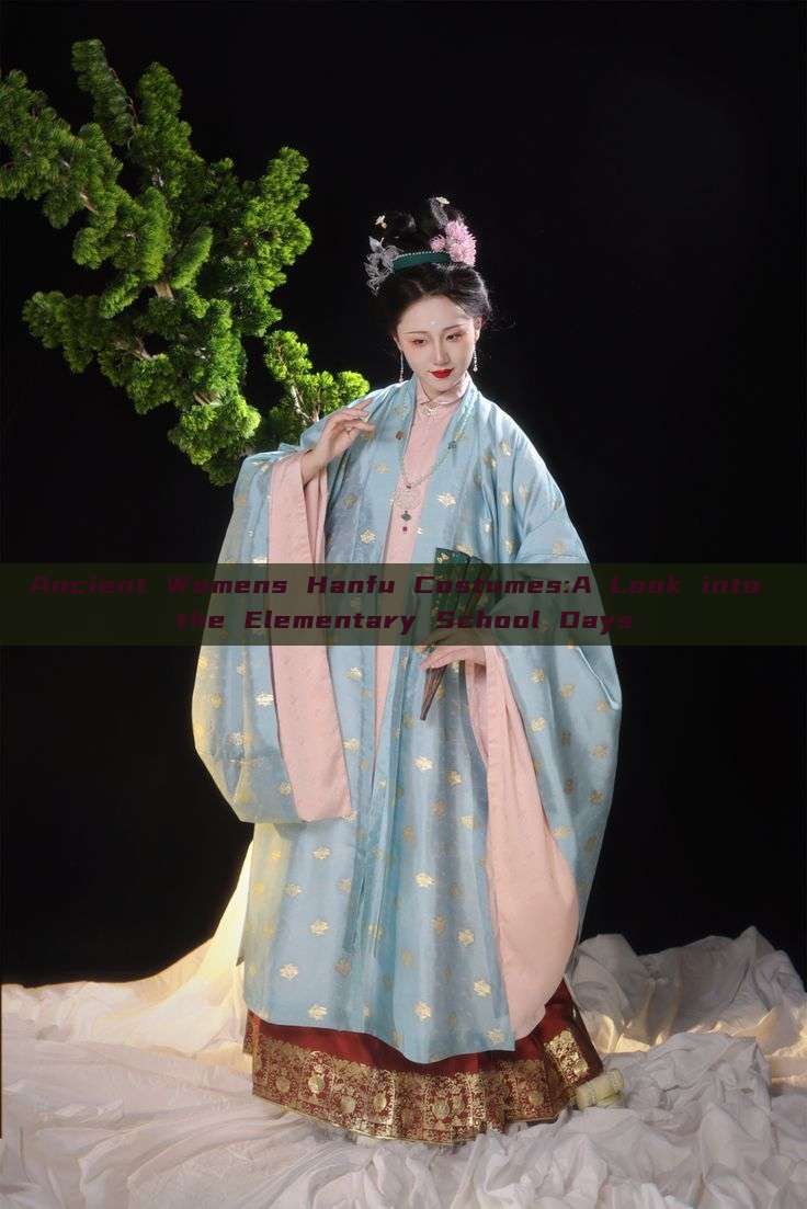 Ancient Womens Hanfu Costumes:A Look into the Elementary School Days Ancient Womens Hanfu Costumes:A Look into the Elementary School Days