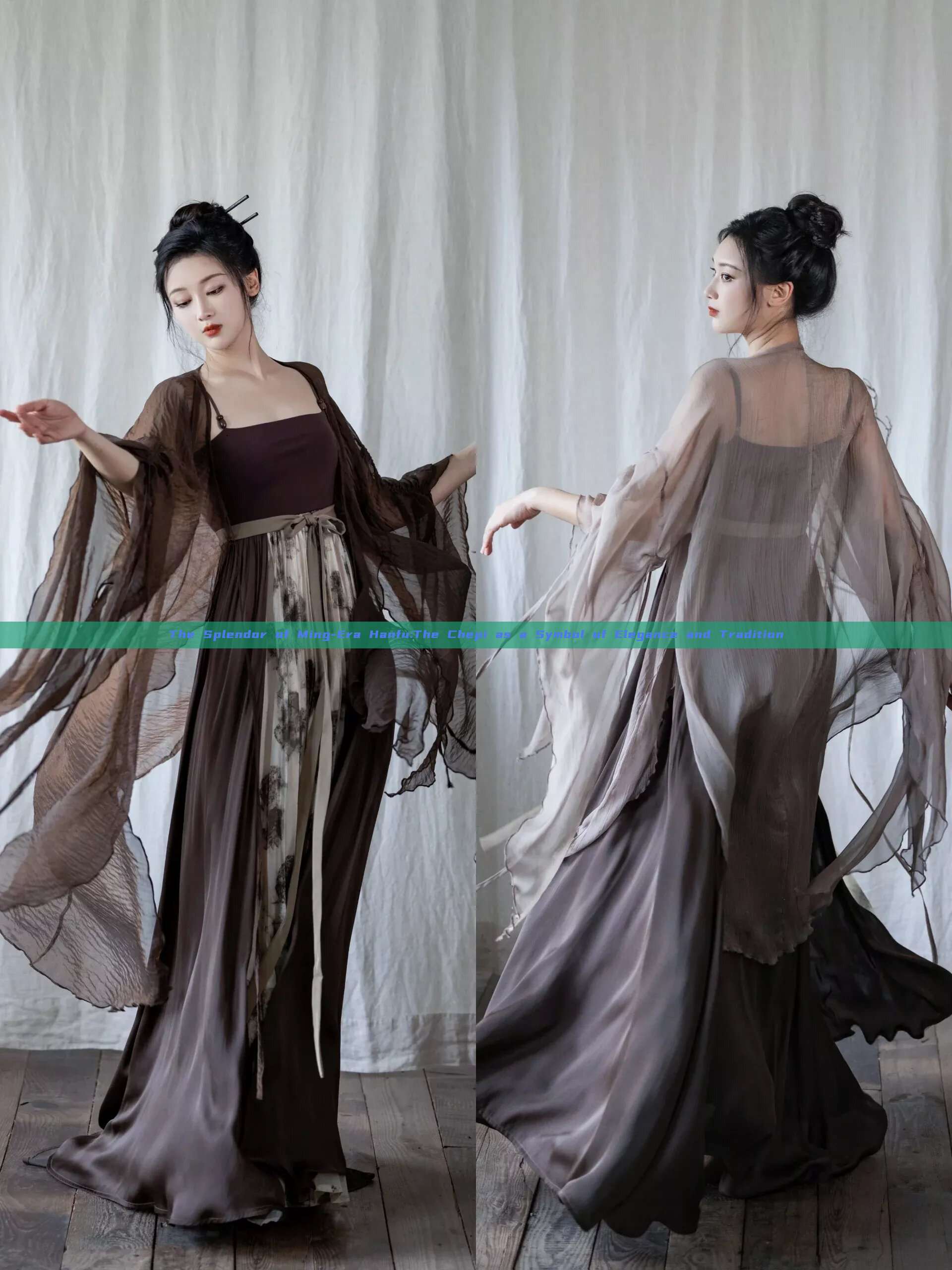 The Splendor of Ming-Era Hanfu:The Chepi as a Symbol of Elegance and Tradition The Splendor of Ming-Era Hanfu:The Chepi as a Symbol of Elegance and Tradition