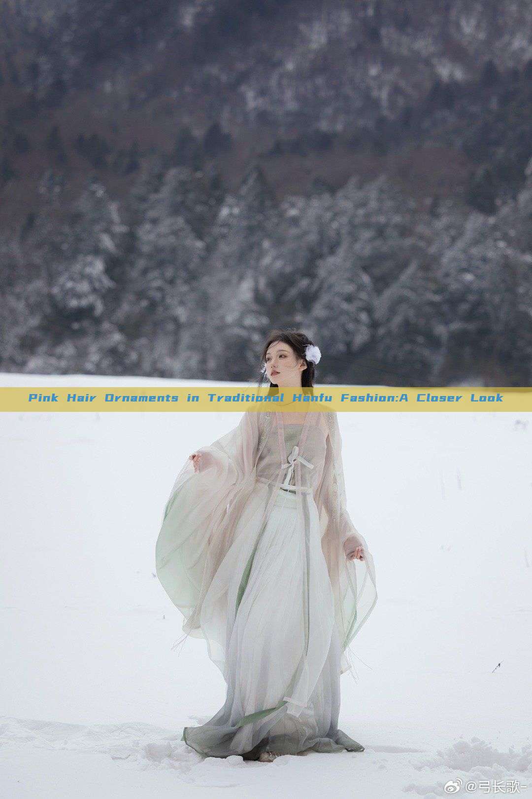Pink Hair Ornaments in Traditional Hanfu Fashion:A Closer Look Pink Hair Ornaments in Traditional Hanfu Fashion:A Closer Look