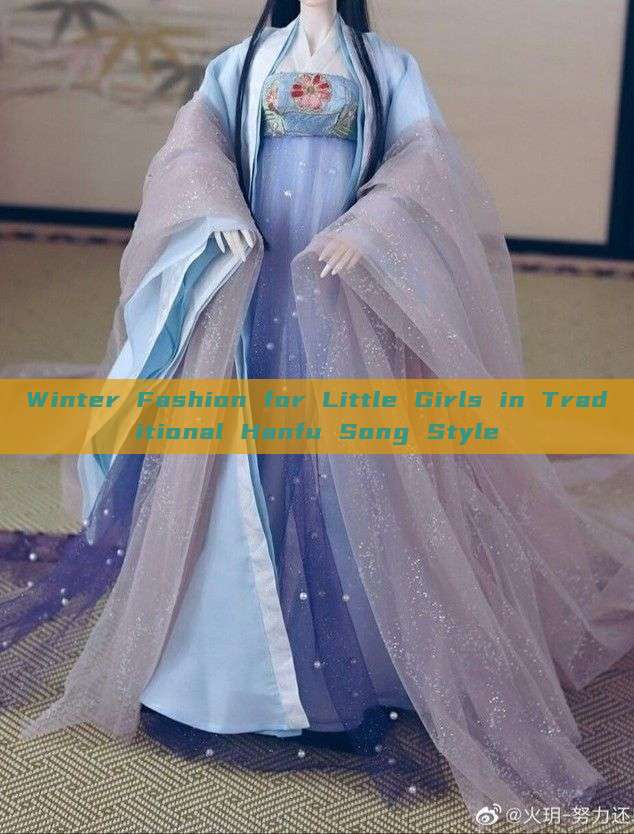 Winter Fashion for Little Girls in Traditional Hanfu Song Style Winter Fashion for Little Girls in Traditional Hanfu Song Style