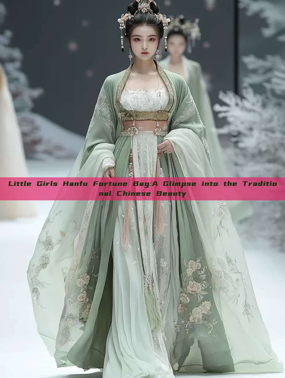 Little Girls Hanfu Fortune Bag:A Glimpse into the Traditional Chinese Beauty Little Girls Hanfu Fortune Bag:A Glimpse into the Traditional Chinese Beauty