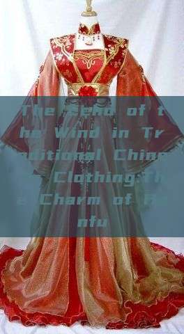 The Echo of the Wind in Traditional Chinese Clothing:The Charm of Hanfu