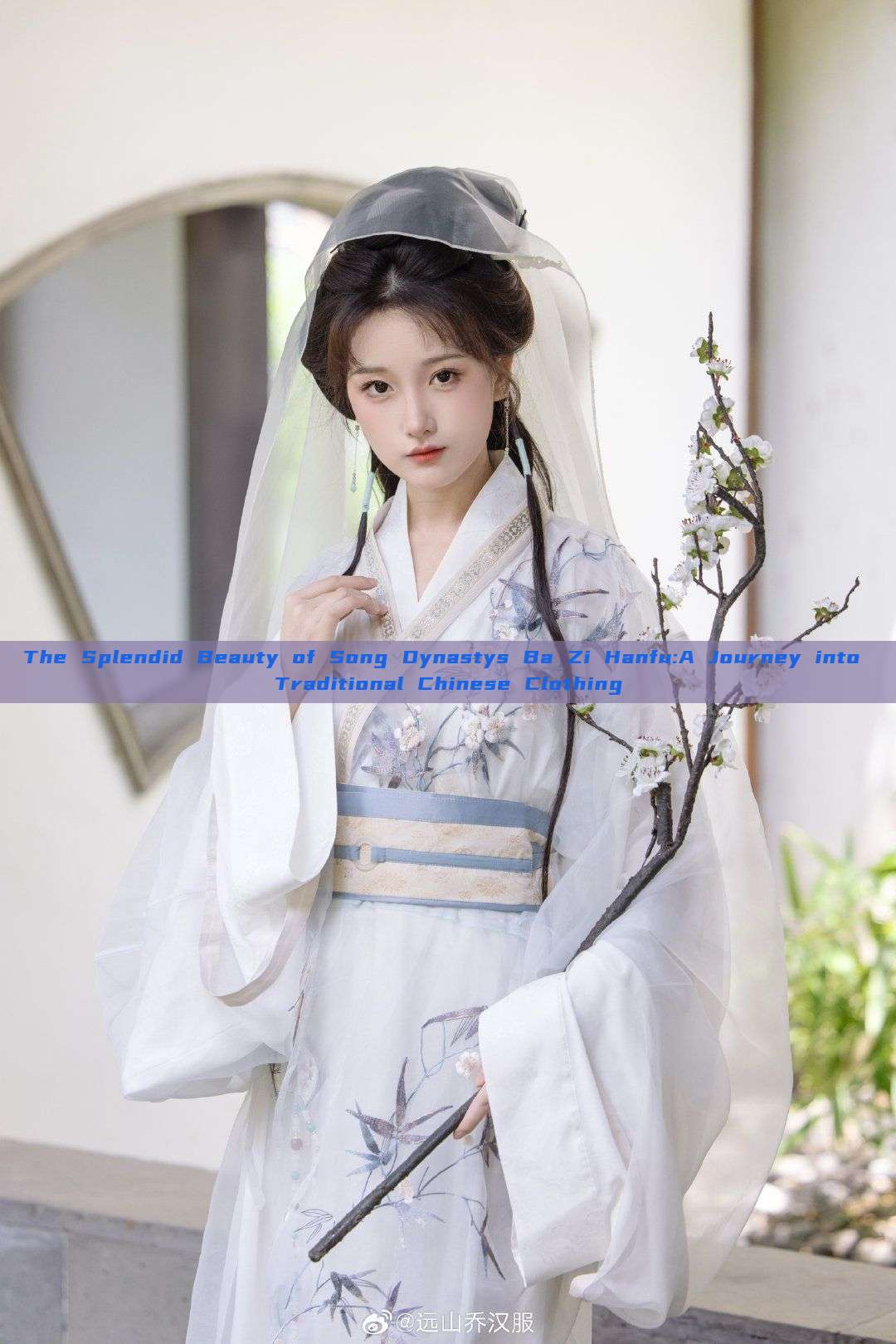 The Splendid Beauty of Song Dynastys Ba Zi Hanfu:A Journey into Traditional Chinese Clothing The Splendid Beauty of Song Dynastys Ba Zi Hanfu:A Journey into Traditional Chinese Clothing