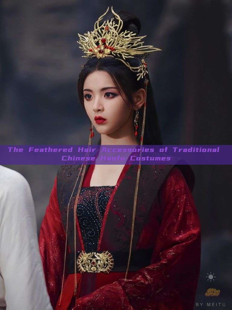 The Feathered Hair Accessories of Traditional Chinese Hanfu Costumes The Feathered Hair Accessories of Traditional Chinese Hanfu Costumes